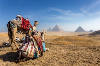 Виза для поездки в Египет