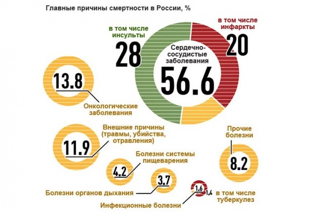Главные причины смертности в России