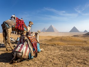 Виза в Египет для россиян в 2020 году: сроки, стоимость, подводные камни