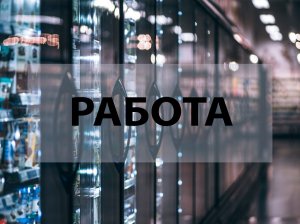 Работа в ДНР: какие профессии востребованы сейчас