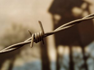 Выезд за границу с судимостью: правила и ограничения