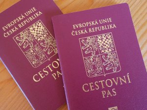 Гражданство Чехии: способы получения в 2020 году