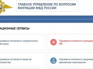 Проверка готовности гражданства РФ: как узнать