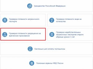 Проверка готовности разрешения на временное проживание (РВП)