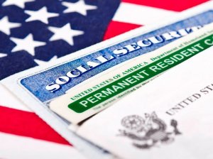 Как получить Зеленую карту в США: особенности и условия