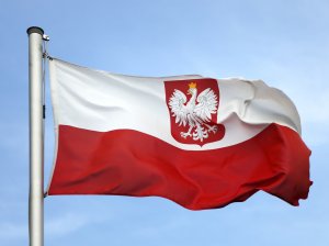 Как найти работу в Польше для украинцев: как трудоустроиться